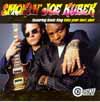 Smokin' Joe Kubek featuring Bnois King "take your best shot" Bullseye Blues 1998